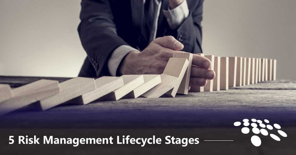 CobbleStone Software details the five risk management lifecycle stages in a comprehensive summary.