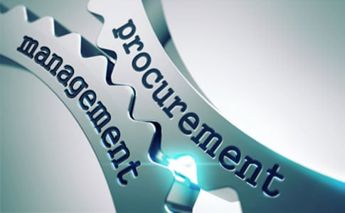 Government Procurement with CobbleStone Software