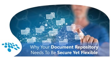 CobbleStone Software explains why a Document Repository needs to be secure yet flexible.
